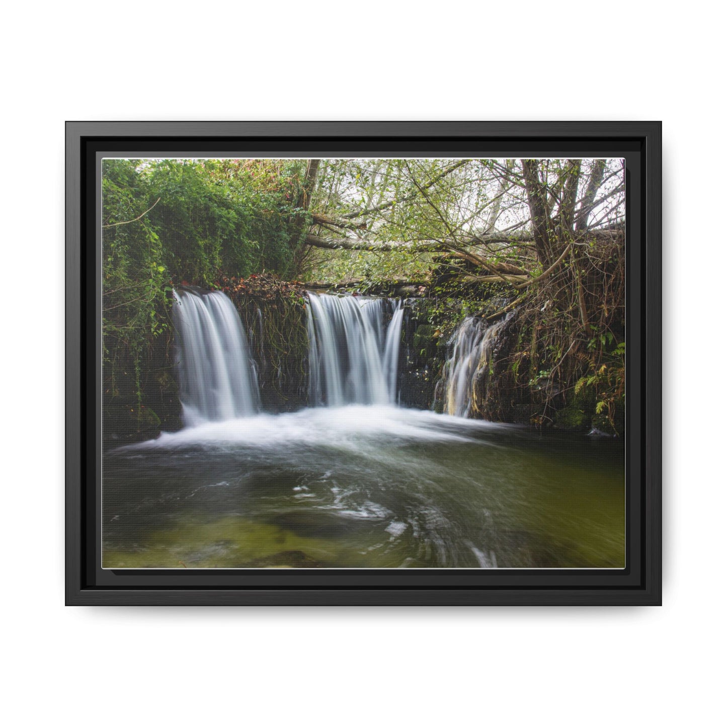 Cascata da Ribeira